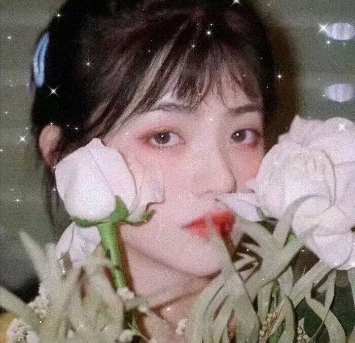 野马梅莎